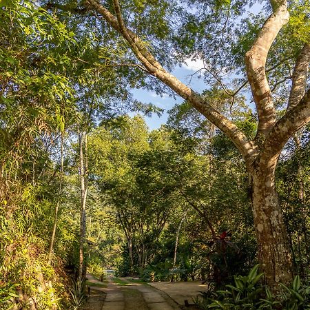 La Luciole Ecolodge パラチ エクステリア 写真