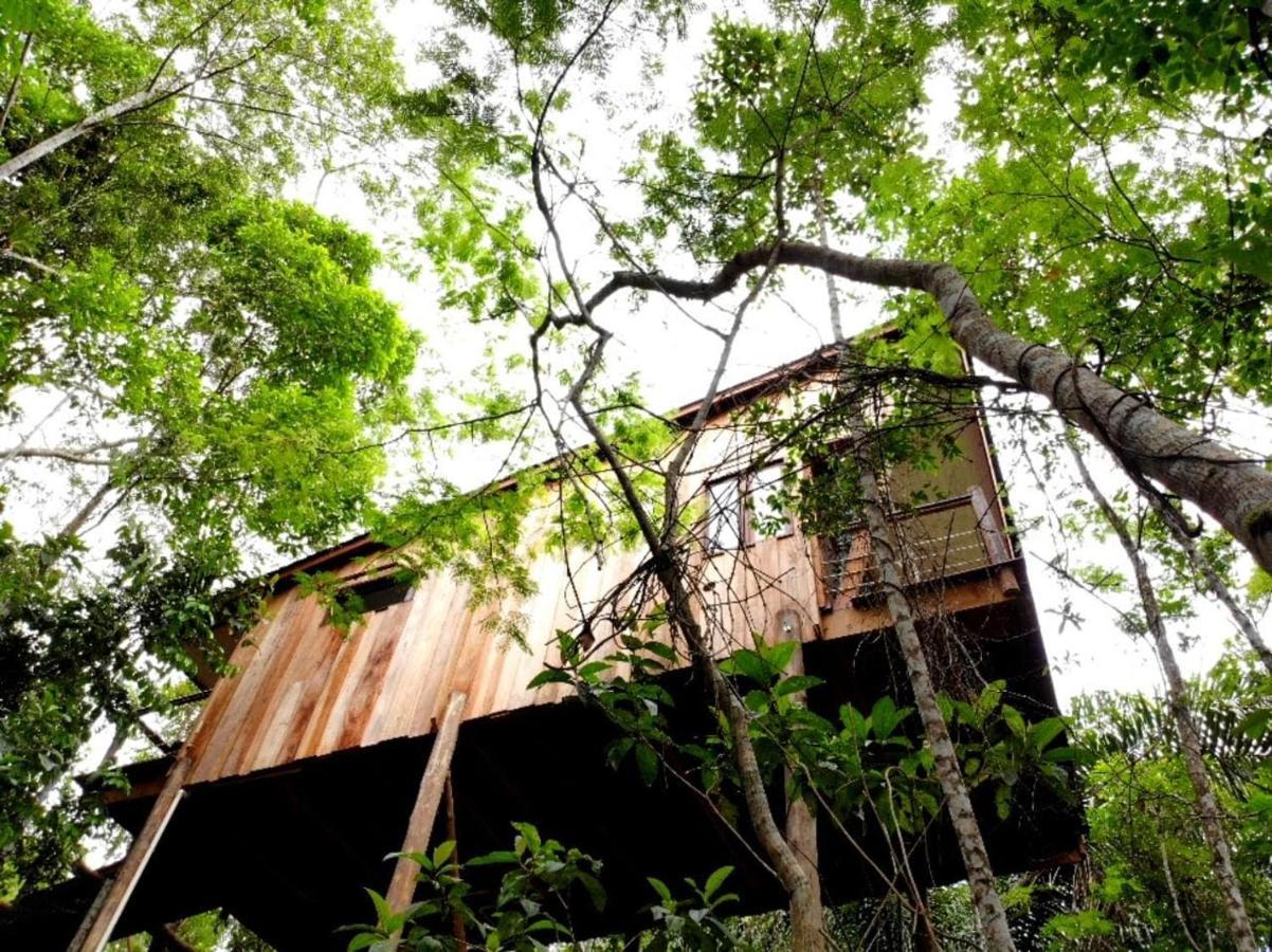 La Luciole Ecolodge パラチ エクステリア 写真