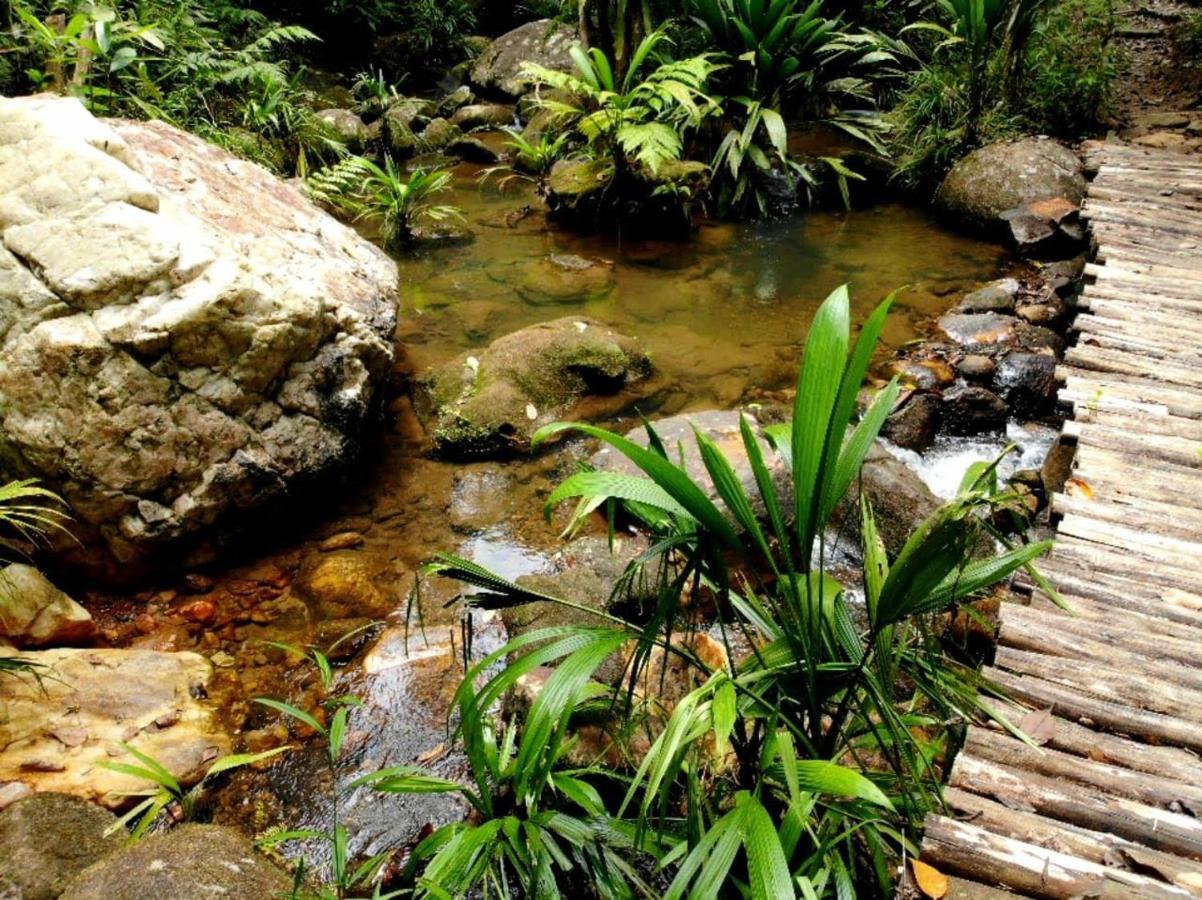 La Luciole Ecolodge パラチ エクステリア 写真