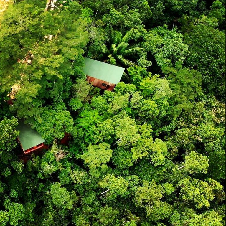 La Luciole Ecolodge パラチ エクステリア 写真