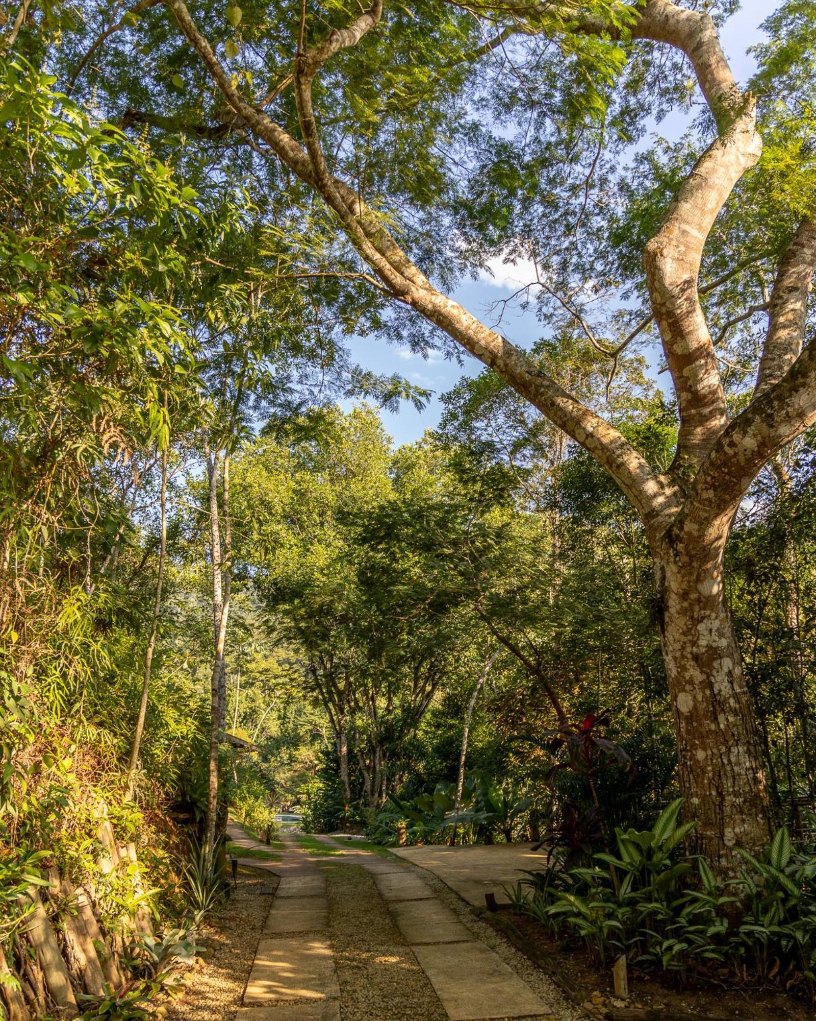 La Luciole Ecolodge パラチ エクステリア 写真